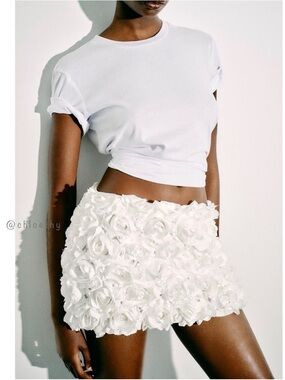 Zara Skirts | Zara Floral Tulle Mini Skirt |
Color: White  size S
